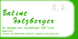 balint holzberger business card